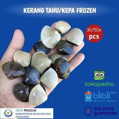 KERANG KEPA/TAHU PREMIUN