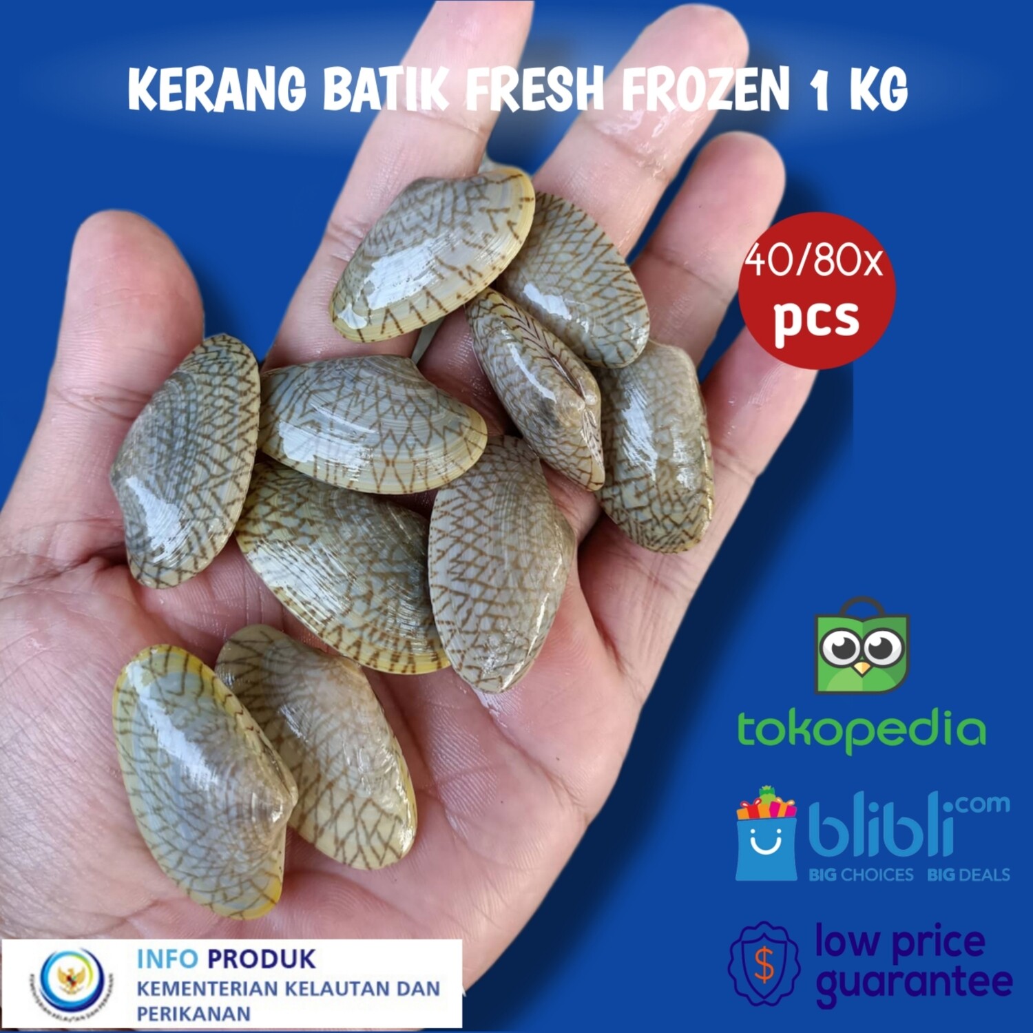 KERANG BATIK FRESH