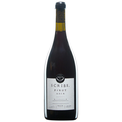 Scribe Pinot Noir Carneros 2024