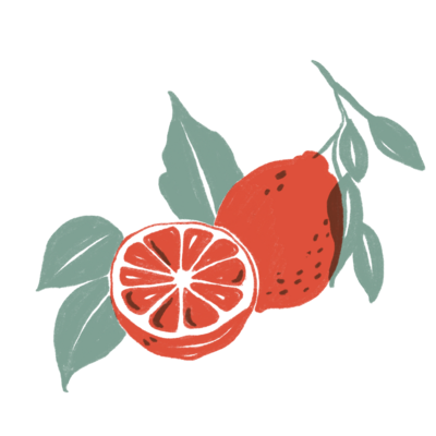 Fruit