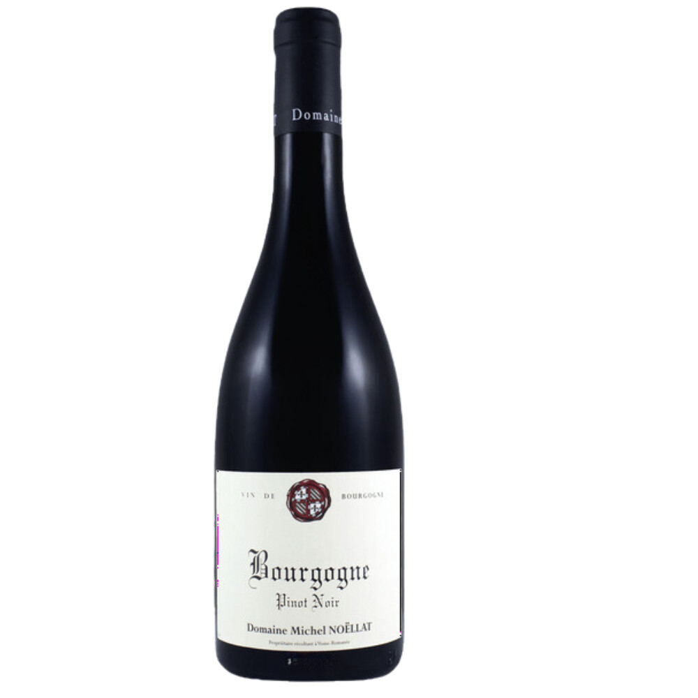 Michel Noellat Bourgogne Rouge 2023