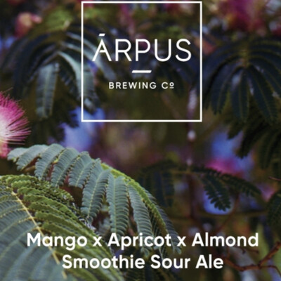 Arpus Brewing Mango Apricot Almond Smoothie Sour 14.9oz Can