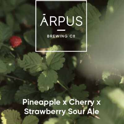 Arpus Pineapple Cherry Strawberry Sour 14.9oz Can