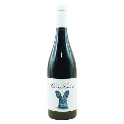 Castro Ventosa Mencia Joven Bierzo 2021