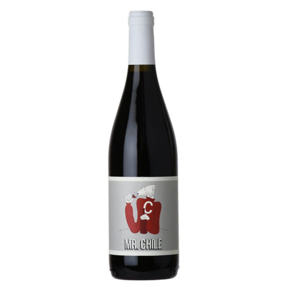 Clos des Fous &#39;Mr. Chile&#39; Pais Maipo Valley 2022
