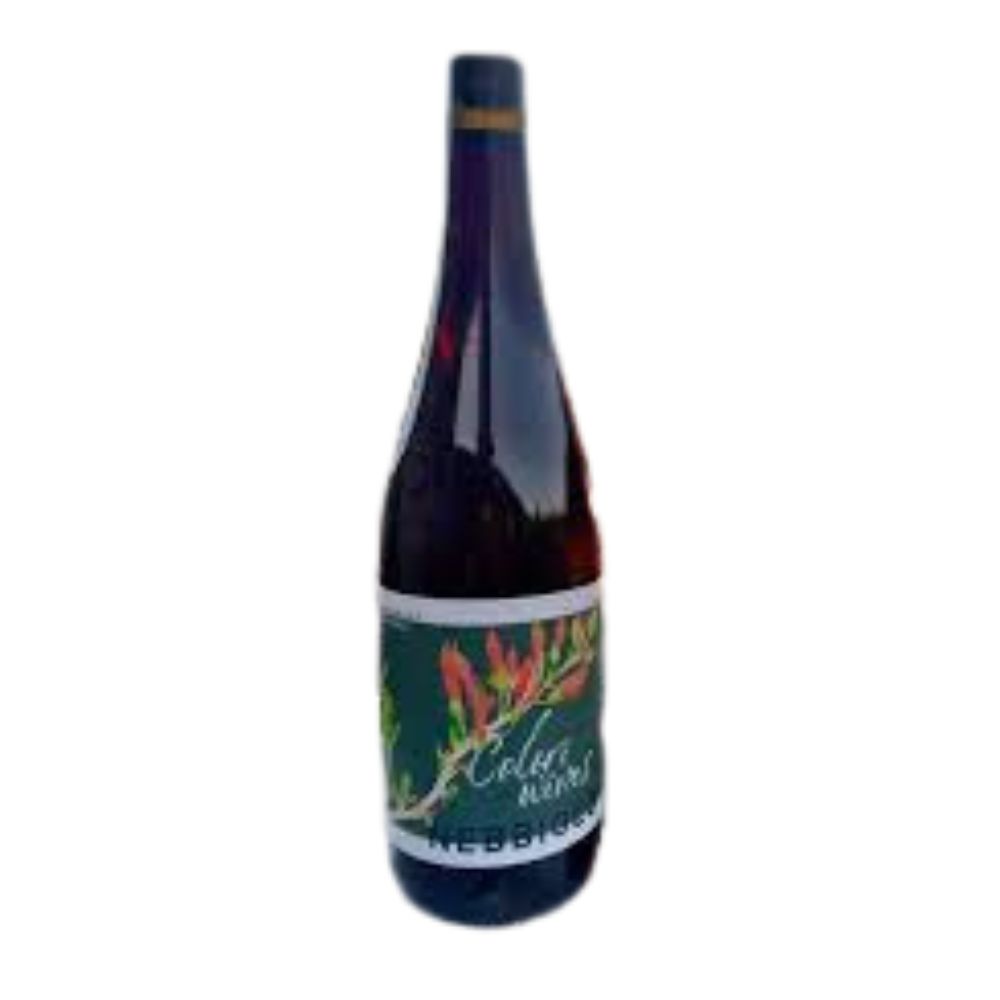 Colori Nebbiolo Santa Maria Valley 2022