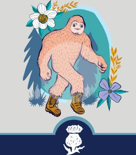 Little Thistle Identity Crisis Cream Ale 4pk Can