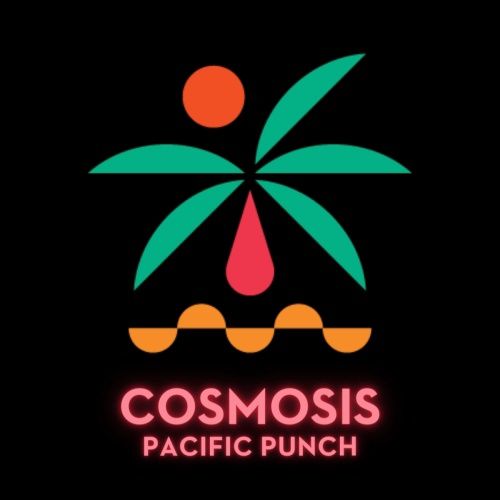 Venn Cosmosis Pacific Punch Sour 4pk Can