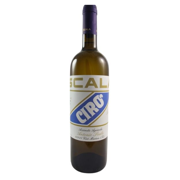 Scala Ciro Bianco 2024