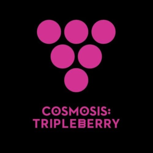 Venn Cosmosis Triple Berry Sour 4pk Can