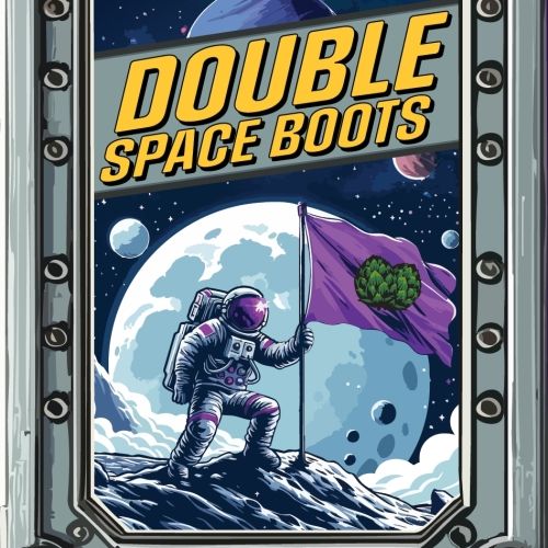 More Double Space Boots DIPA 4pk Can