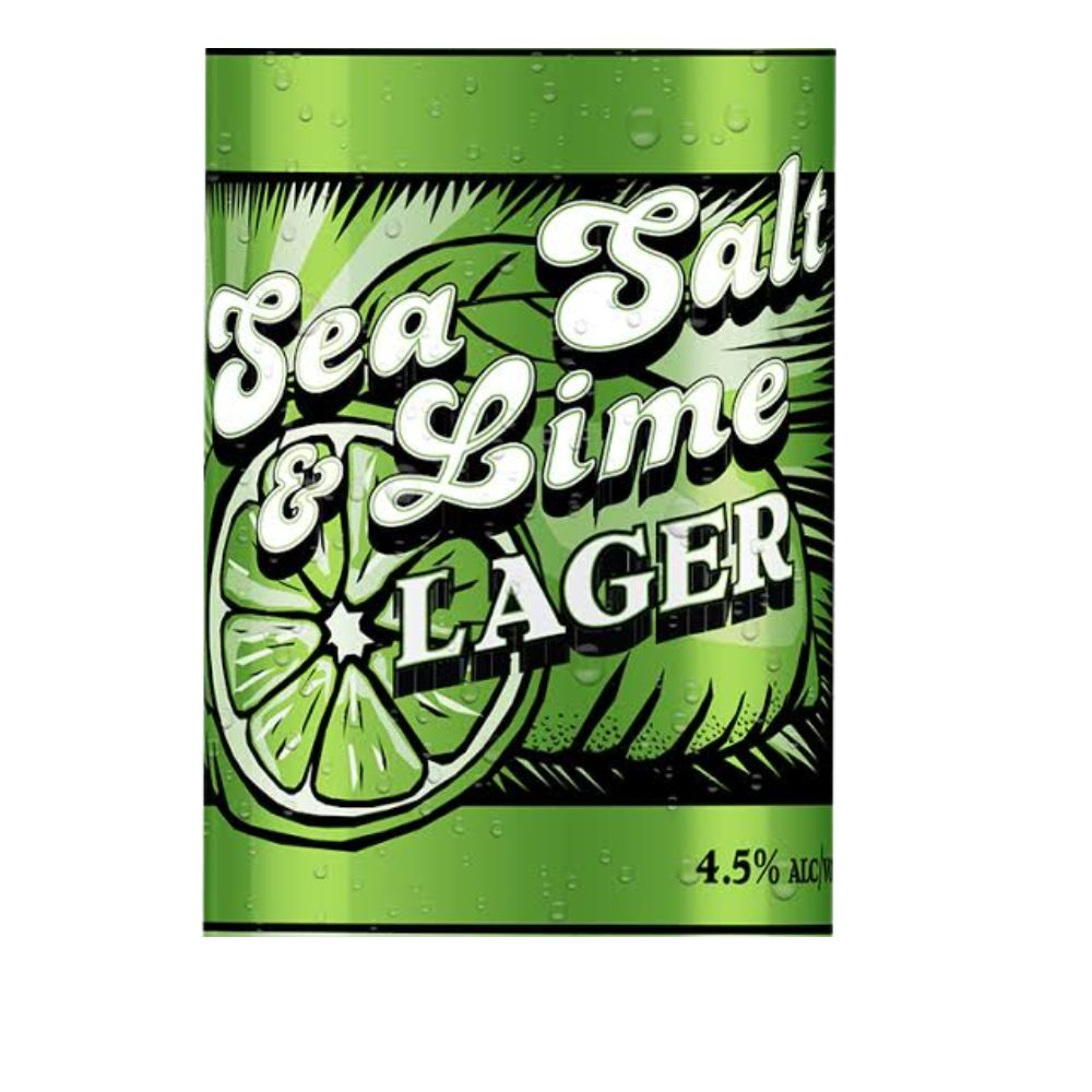 Castle Danger Sea Salt &amp; Lime Lager 16oz 6pk Can