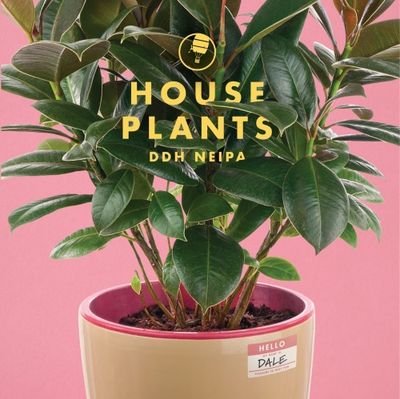 Insight House Plants DDH IPA 4pk Can