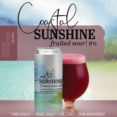 Humble Forager Coastal Sunshine v20 Smoothie Sour 4pk Can