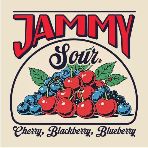 Junkyard Jammy Sour Ale 4pk Can