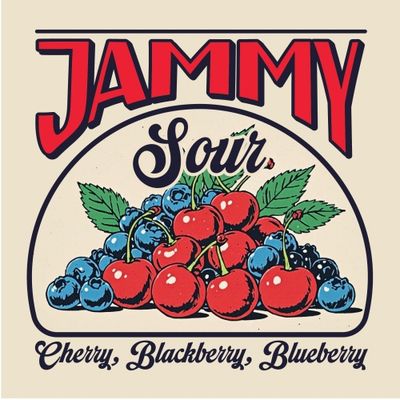Junkyard Jammy Sour Ale 4pk Can