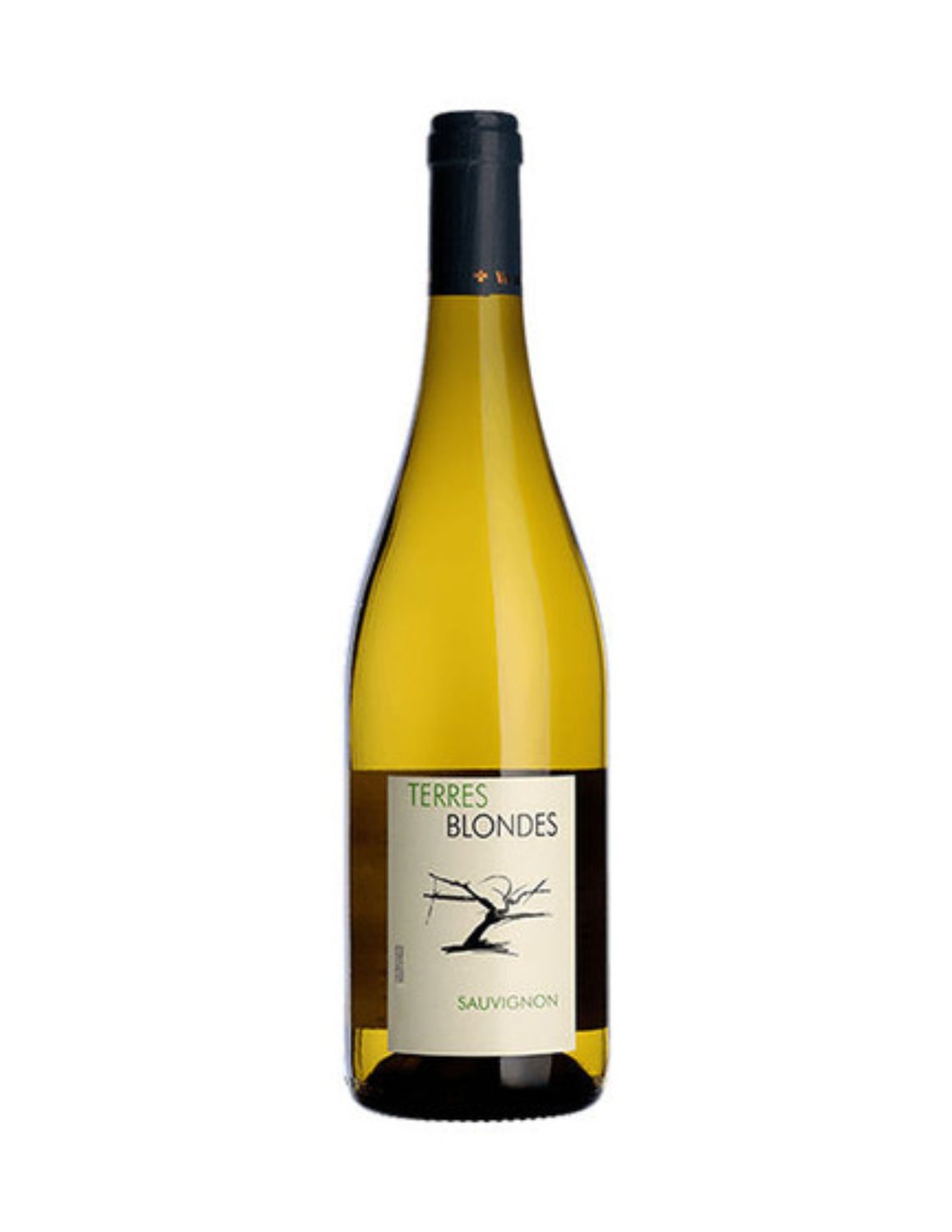 Terres Blondes Sauvignon Blanc 2023