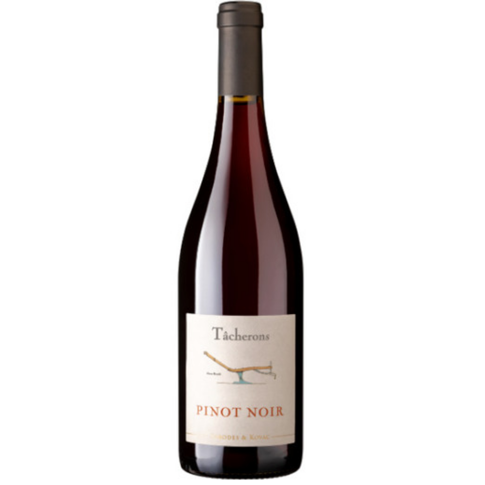 Tacherons Pinot Noir Limoux 2024