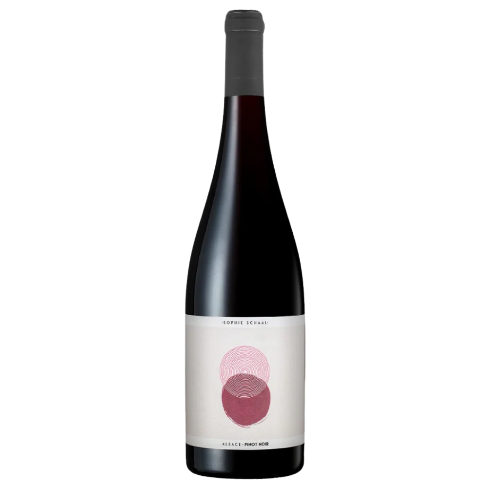 Sophie Schaal Alsace Pinot Noir 2024