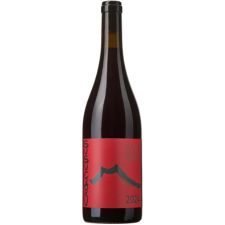 Cornelissen Susucaru 2024