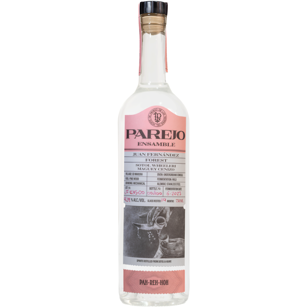 Sotol Parejo Wheeleri Cenizo Ensemble
