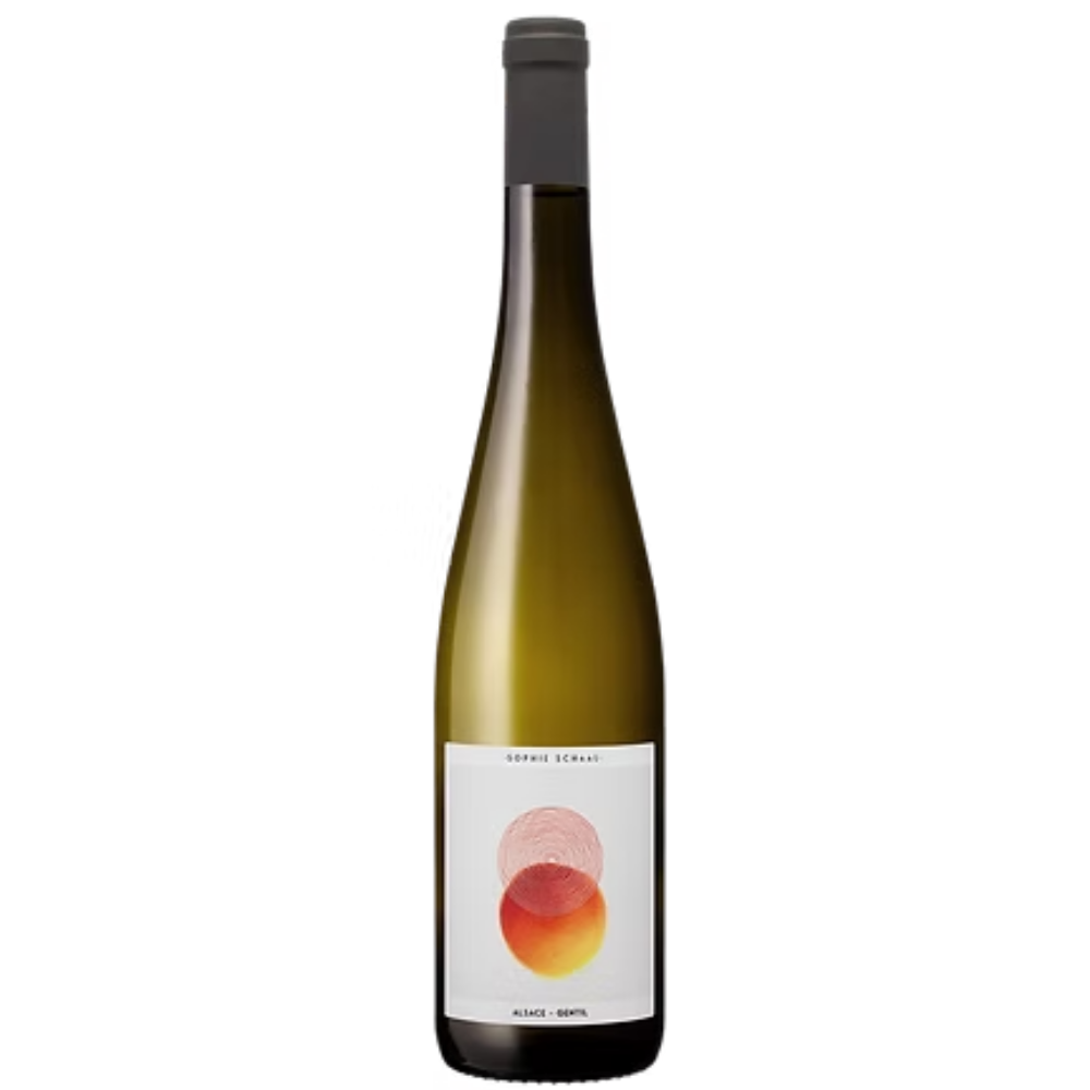 Sophie Schaal Gentil Alsace 2025