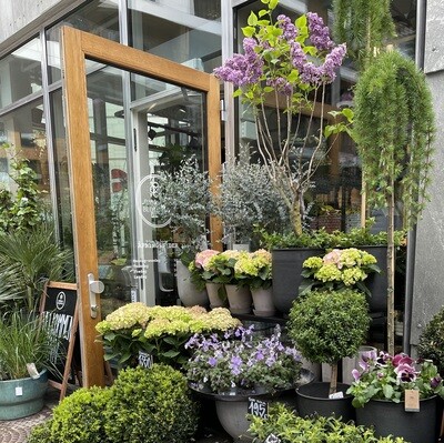 Uteplanter