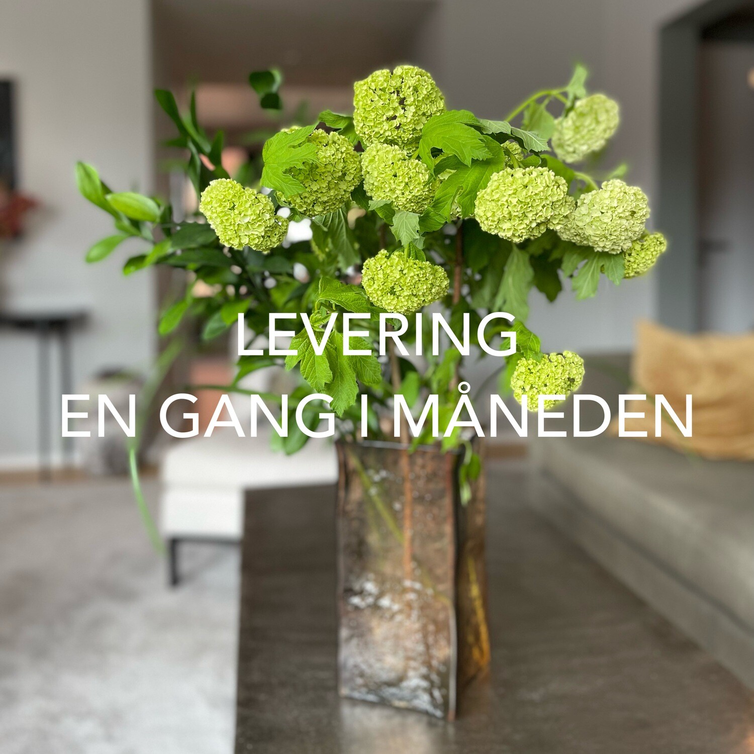 WEEKEND GREENS OSLO WEEKEND GREENS OSLO