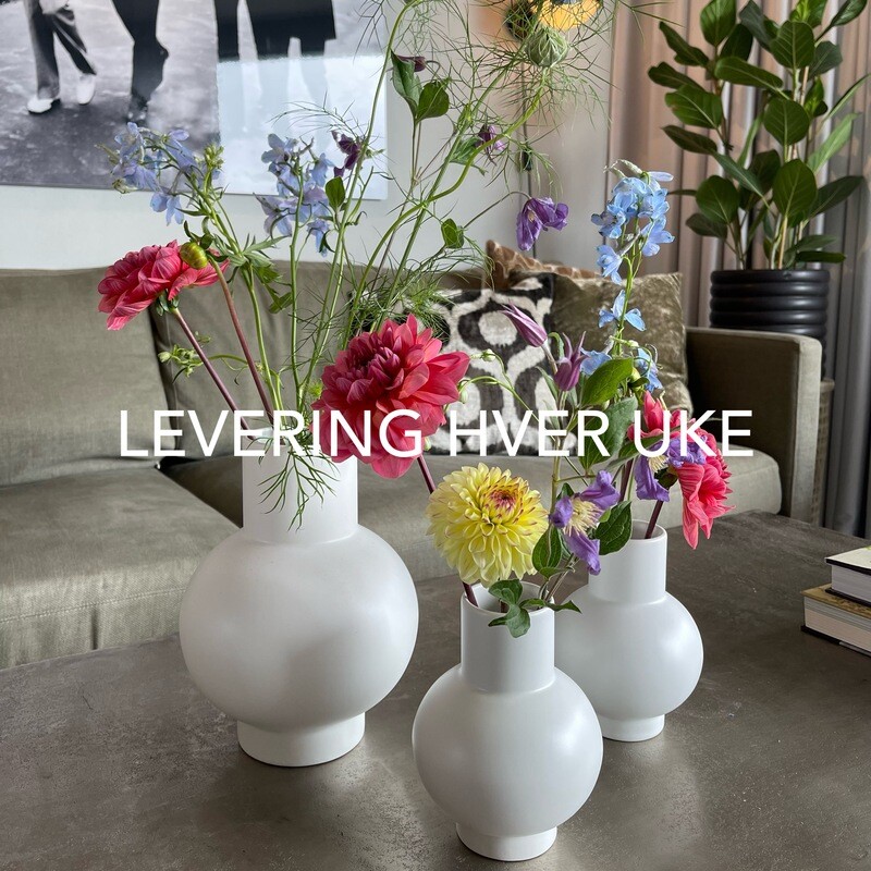 WEEKEND FLOWERSTEMS OSLO