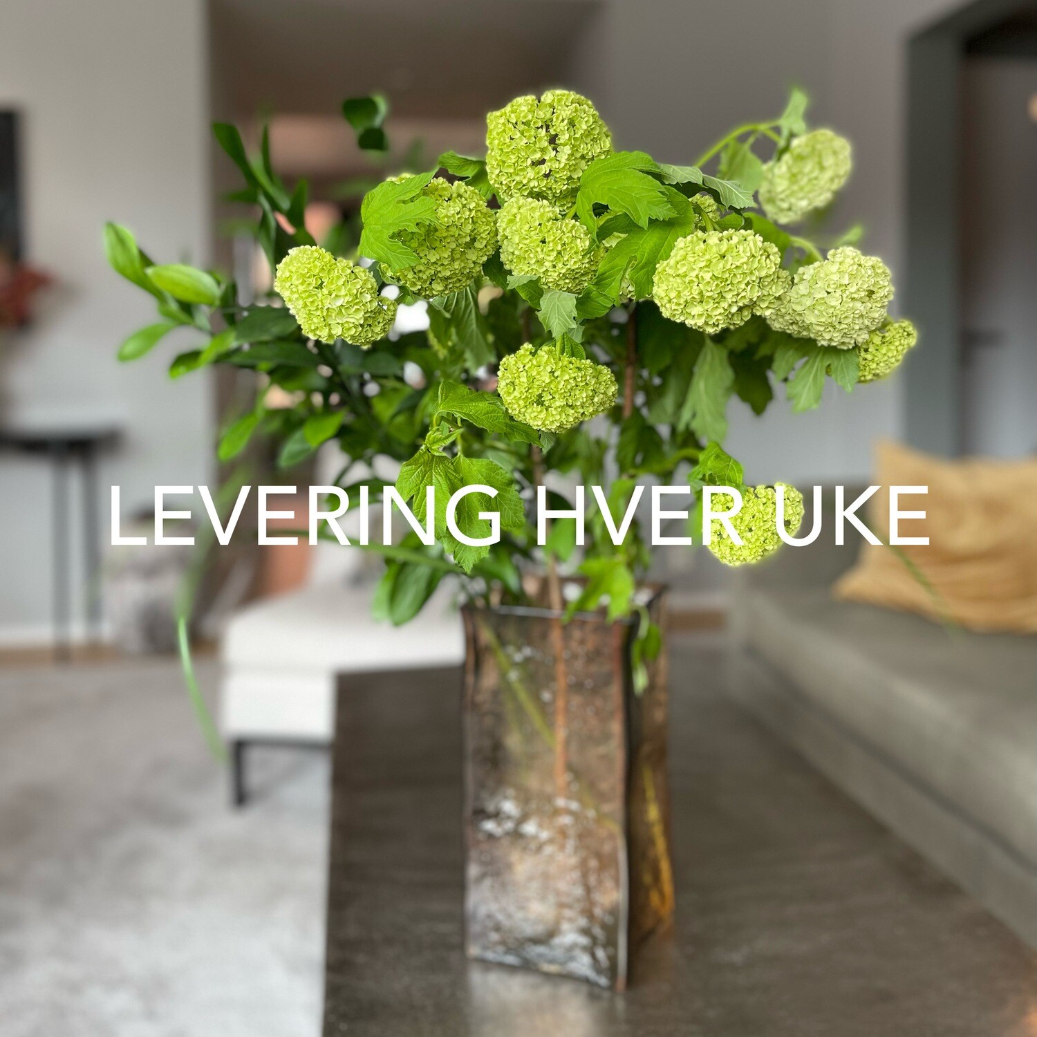 WEEKEND GREENS OSLO WEEKEND GREENS OSLO