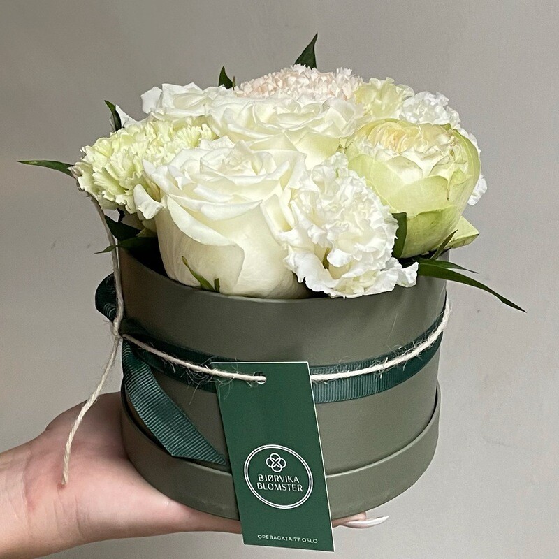 BLOOMBOX LIGHT & DELICATE BLOOMBOX LIGHT & DELICATE