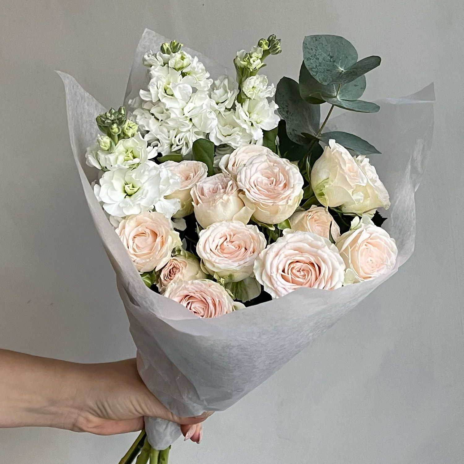 BB BUNCH TODAY´S CHOICE