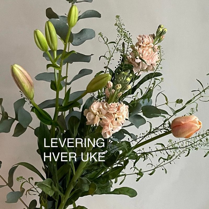HOME FLOWERS OSLO - Sesongens utvalgte blomster til hjemmet