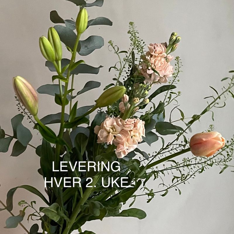 HOME FLOWERS OSLO - Sesongens utvalgte blomster til hjemmet