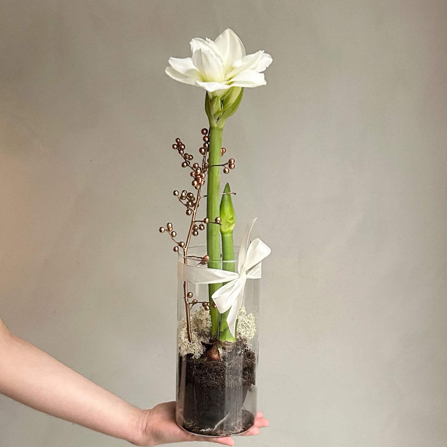 JULEDEKORASJON HVIT AMARYLLIS