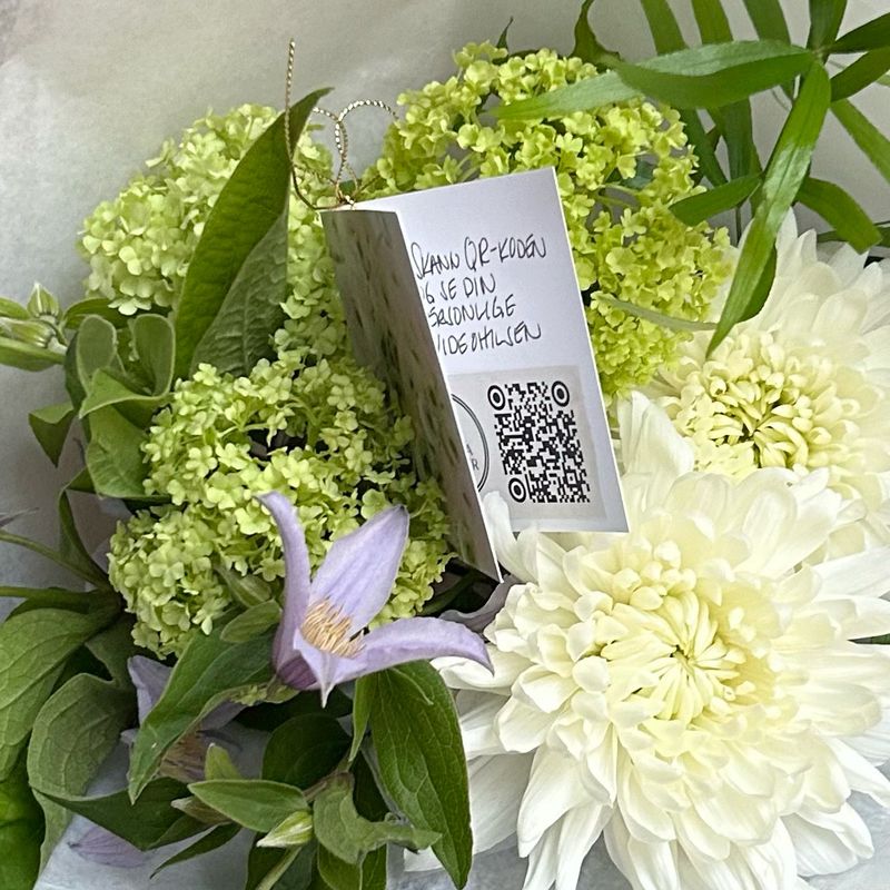 KORT MED VIDEOHILSEN