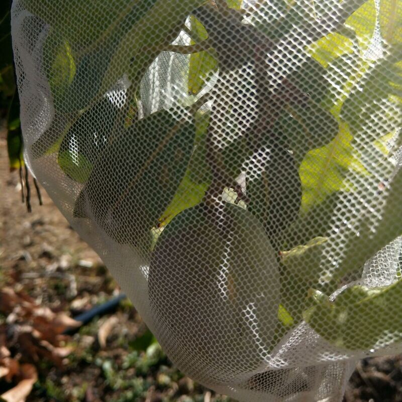 Shade Cloth, Exclusion Mesh and Netting