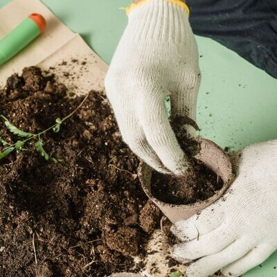 Propagation