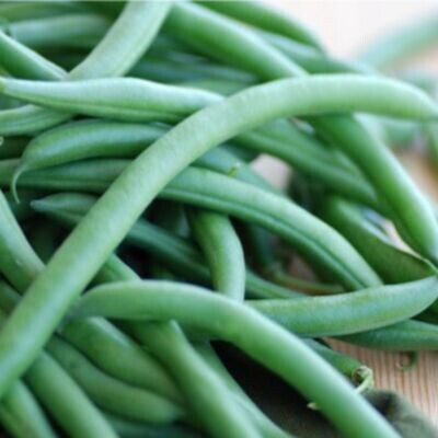 Bean