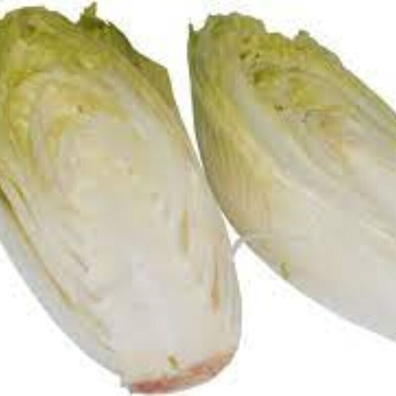 Chicory