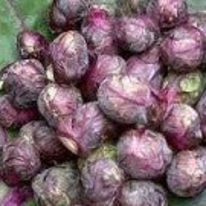Brussel Sprouts