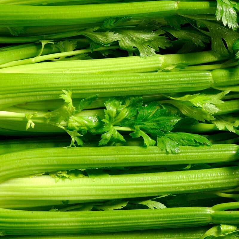 Celery & Celeriac