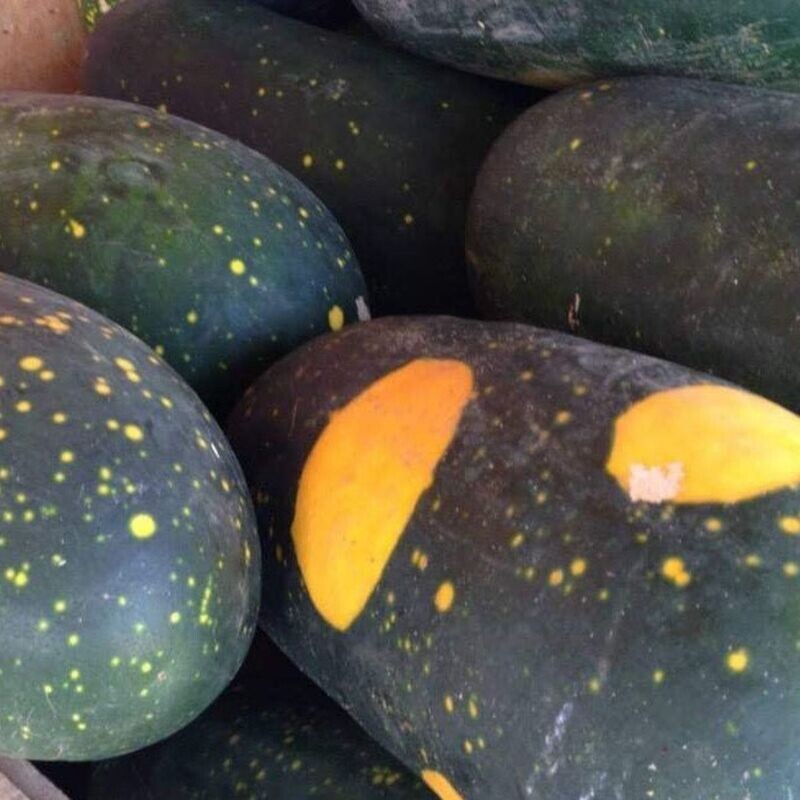 Melons