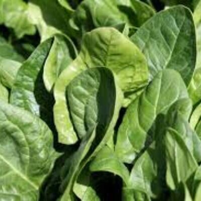 Spinach