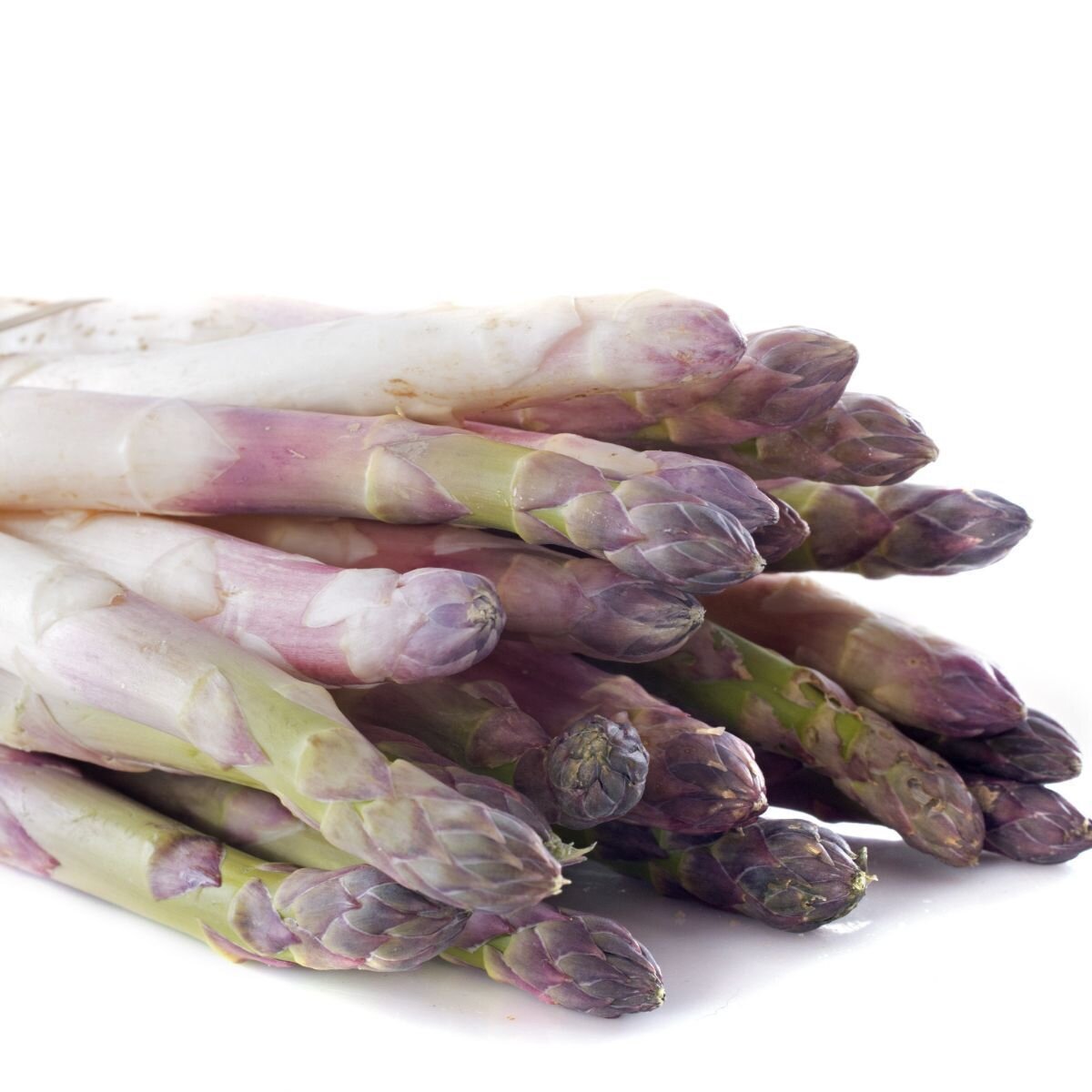 Asparagus - Argenteuil Seeds
