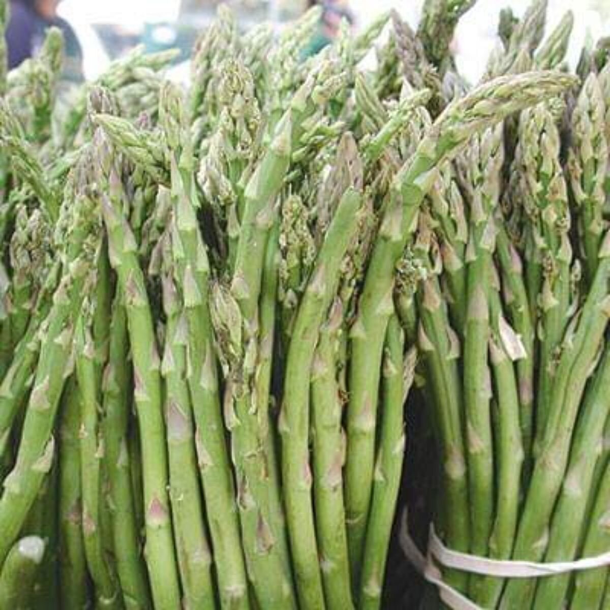Asparagus - Mary Washington Seeds