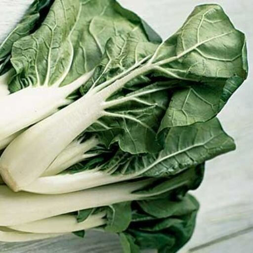 Bok Choy - Taisai seeds