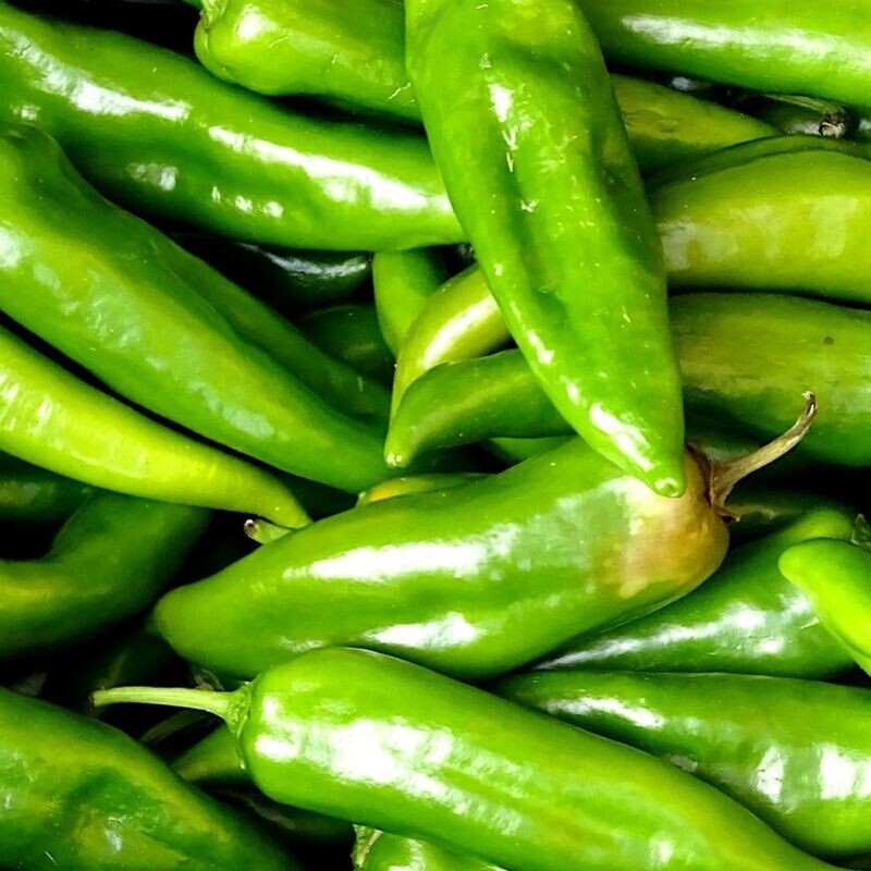Chilli - Anaheim Seeds