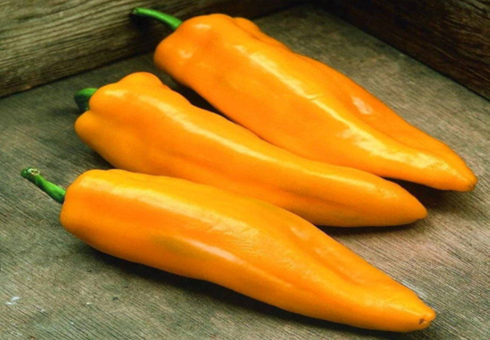 Capsicum - Marconi Golden Seeds
