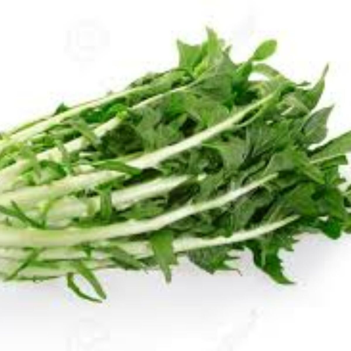 Chicory - Catalogna Seeds